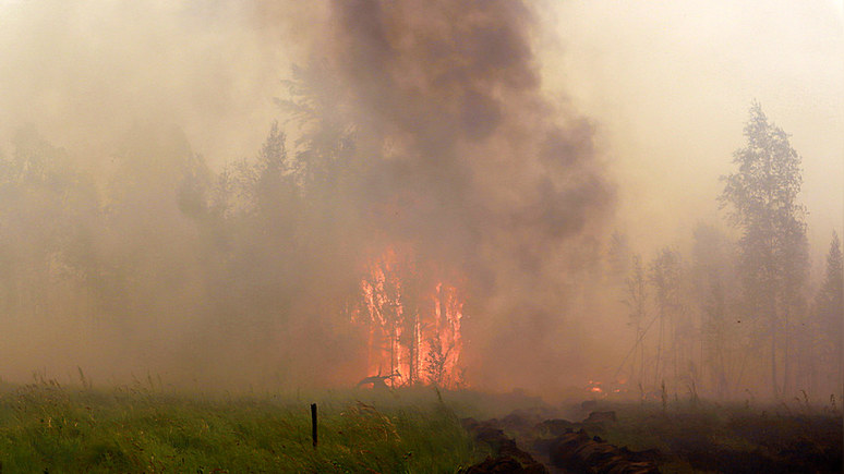 Dagbladet: Северный полюс впервые накрыло дымом от лесных пожаров в России