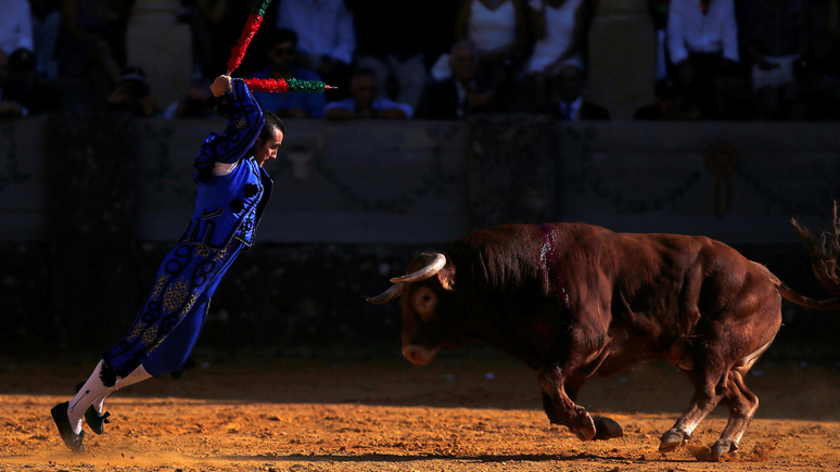 El Periódico: в испанском Хихоне отменили корриду из-за недопустимых кличек быков