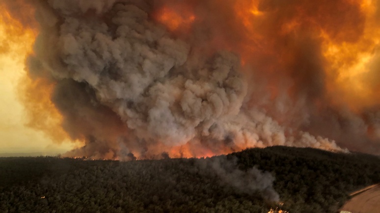 Independent: дым от лесных пожаров в Северной Америке достиг Европы  