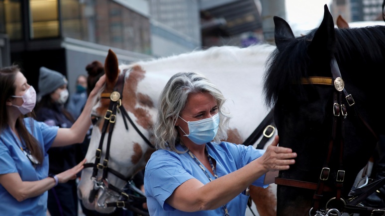Guardian: вы же не лошади — американцев призывают отказаться от профилактики коронавируса лекарствами для скота