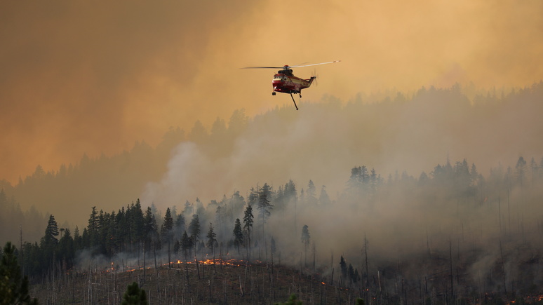 Daily Mail: лесные пожары выбросили в атмосферу 4,7 гигатонны углекислого газа — больше, чем весь Евросоюз