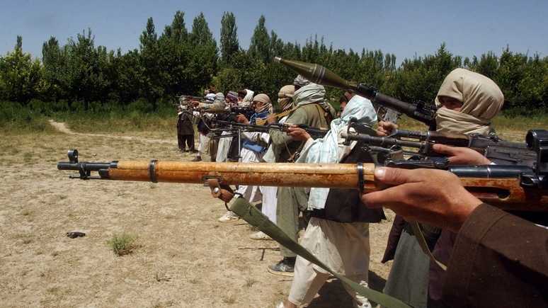 Le Figaro оценил перспективы «Талибана» построить успешное государство