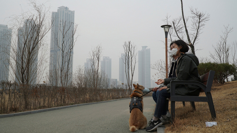 Guardian: президент Южной Кореи предложил запретить употребление собак в пищу