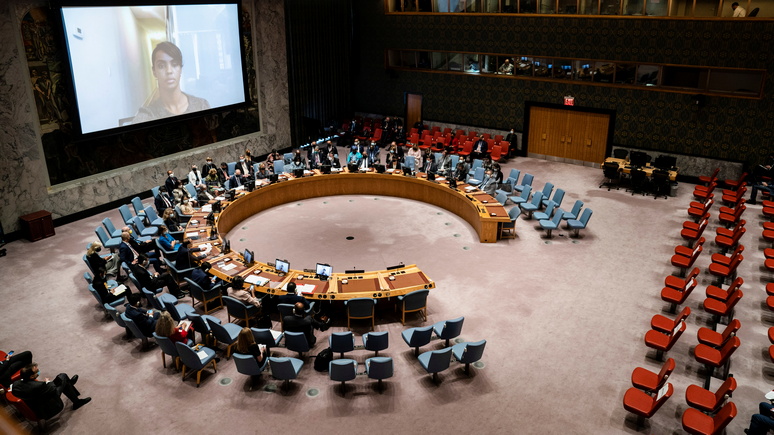 Reuters: слишком много представителей Запада — Россия не позволила ООН назначить экспертов по санкциям против африканских государств