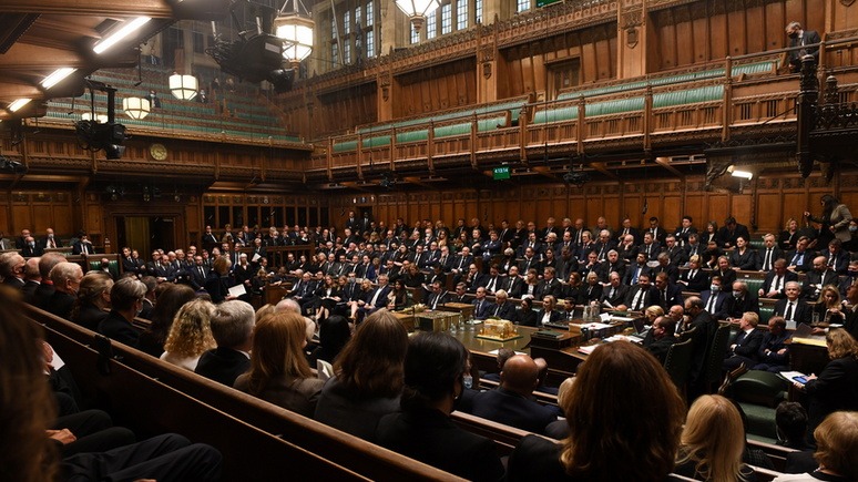 Times: в британском парламенте на депутатов-наркоманов «натравят» собак-ищеек