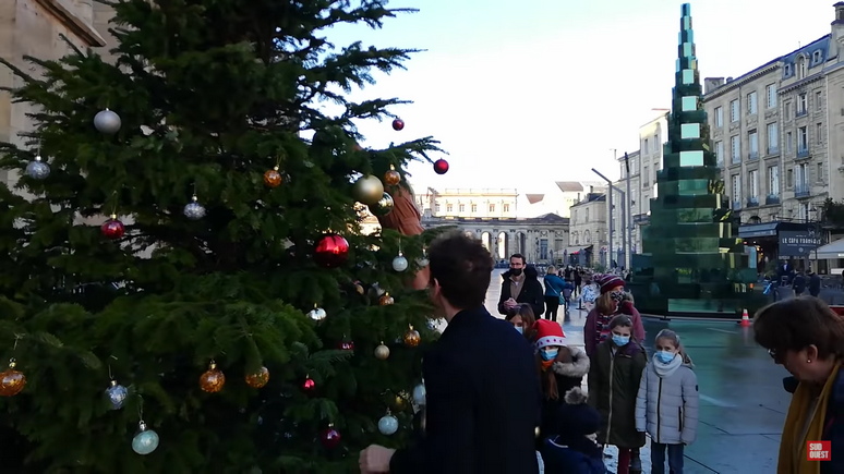 Le Figaro: французам приходится бороться за рождественские ёлки с мэрами-экологами