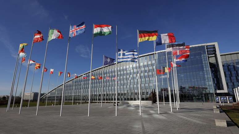 Le Figaro: экс-председатель Парламентской ассамблеи НАТО предложил отказаться от расширения альянса на 20 лет