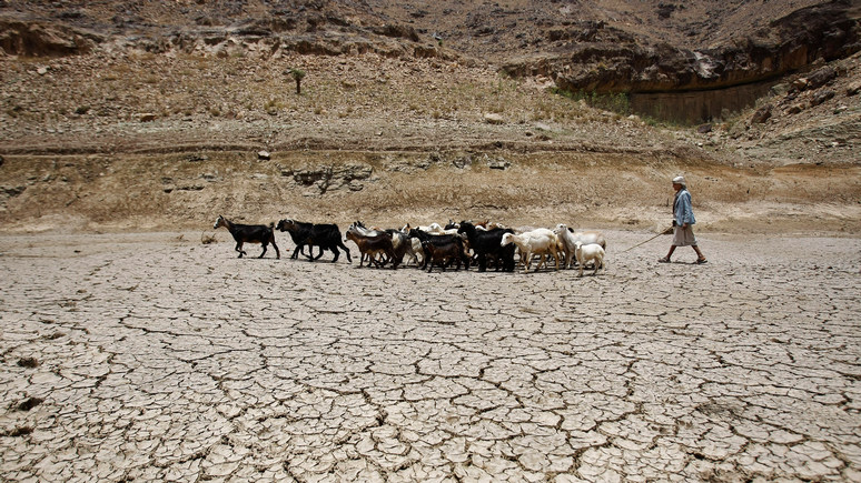 Guardian: ООН заявила о деградации 40% площади суши Земли  