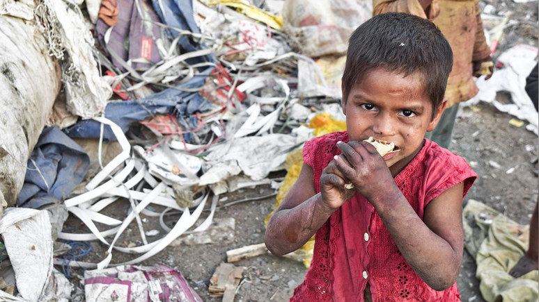 Bloomberg: прогнозы по всему миру указывают на растущую опасность голода 