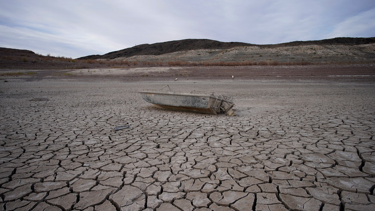 Spiegel: «не застрахована ни одна страна» — в ООН заявили, что к 2050 году от засухи будут страдать три четверти населения земли 