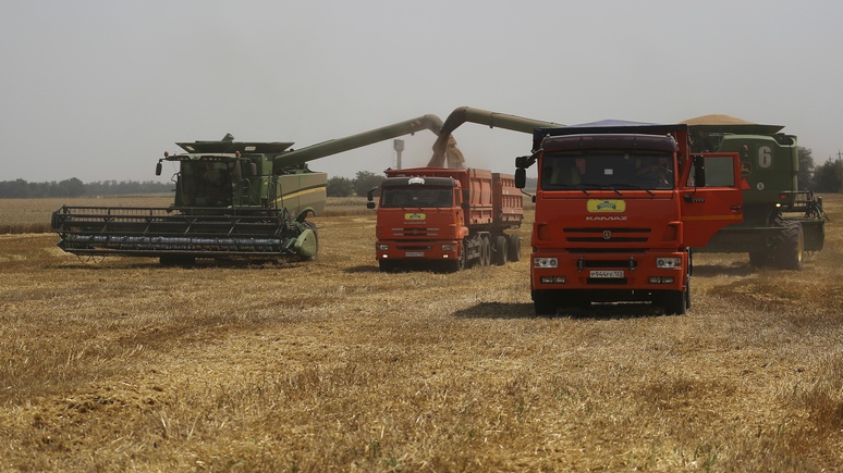 Welt: цены на пшеницу растут, но Россия в этом не виновата