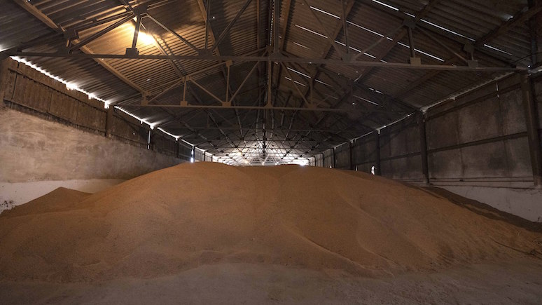 Times: Россия выигрывает битву за контроль над мировой пшеницей