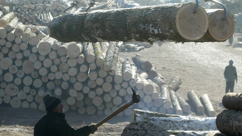Le Figaro: без ламелей и поддонов — в Европе ощутили нехватку древесины из России и с Украины