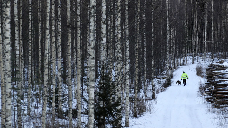 WION: Финляндия планирует построить заграждения «в критических зонах» на границе с Россией