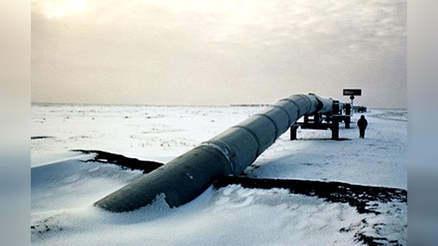 Арктическая «кладовая» обеспечит стабильность России