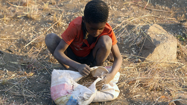 ABC NEWS: «миллионы на грани смерти» — международная организация предупредила об угрозе «катастрофического голода» в Восточной Африке