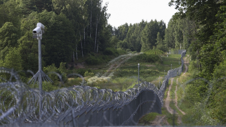 Stern: Литва защитилась от мигрантов из Белоруссии забором протяжённостью 550 км