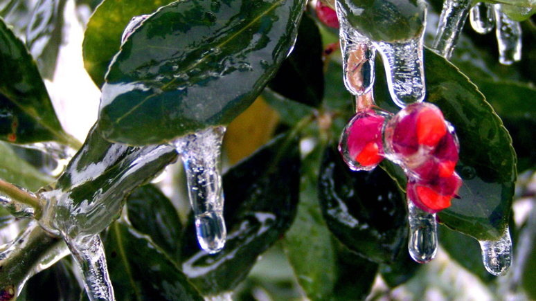 Bloomberg: Европа с тревогой готовится к первым холодам