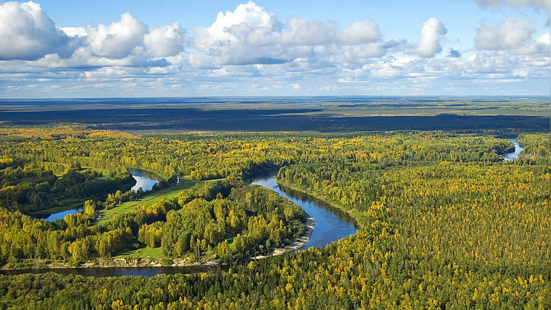 Insider: эксперты прогнозируют огромные инвестиционные возможности для Сибири на фоне глобального потепления