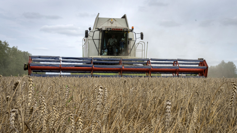 DN: выход России из зерновой сделки обернётся удорожанием продуктов в шведских магазинах