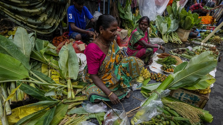 Экология, безработица, пенсионеры — Guardian предсказала последствия бэби-бума для Индии