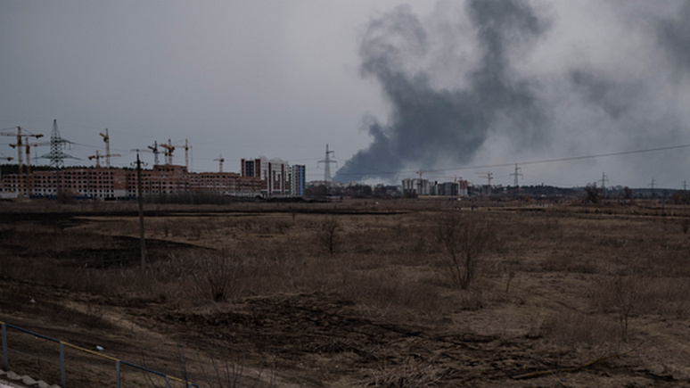 Немецкий политолог: Москве предстоит сделать выбор между американской ловушкой и переговорами