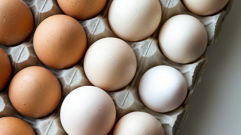 Newsweek: из-за птичьего гриппа и инфляции цены на яйца в США выросли вдвое