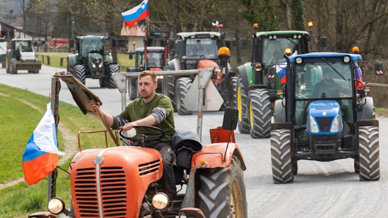 DT: тысячи фермеров в Словении протестуют против «зелёных» законов ЕС