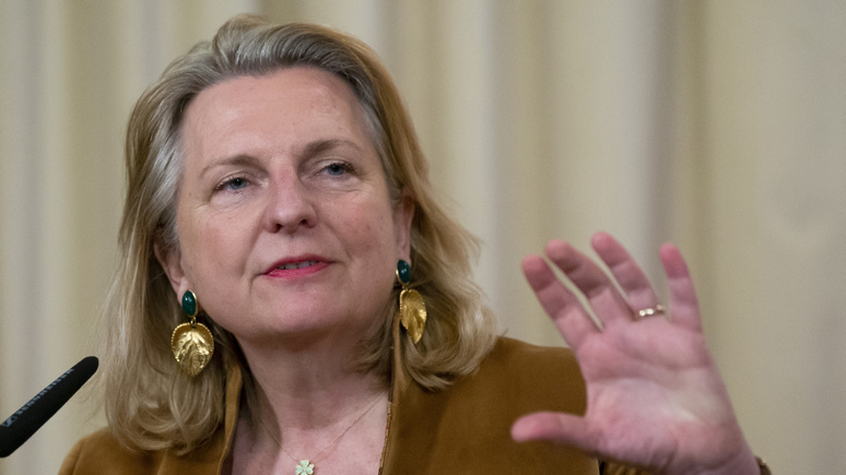 Экс-глава МИД Австрии: в конфликте с Россией европейские страны «ведут себя попросту незрело»