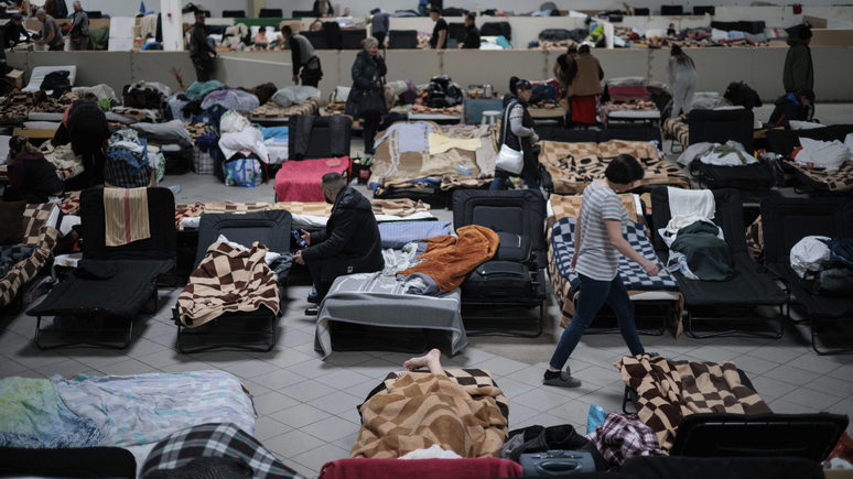 Die Welt: афганцы о таком могут только мечтать — украинские беженцы находятся в ЕС в привилегированном положении