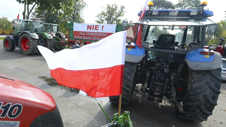 Rzeczpospolita: власти Польши пожертвовали Украиной ради собственных фермеров
