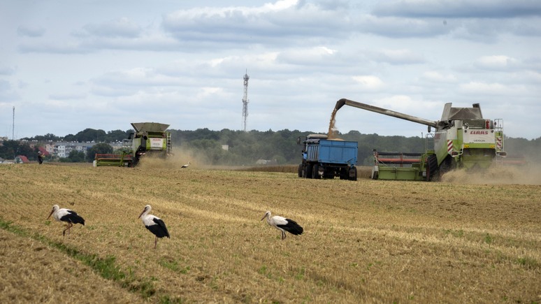 CNBC: Болгария присоединилась к странам, запретившим импорт украинского зерна