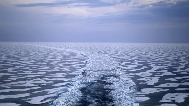 Экономические интересы в приоритете — American Conservative о неверной оценке на Западе арктической стратегии России