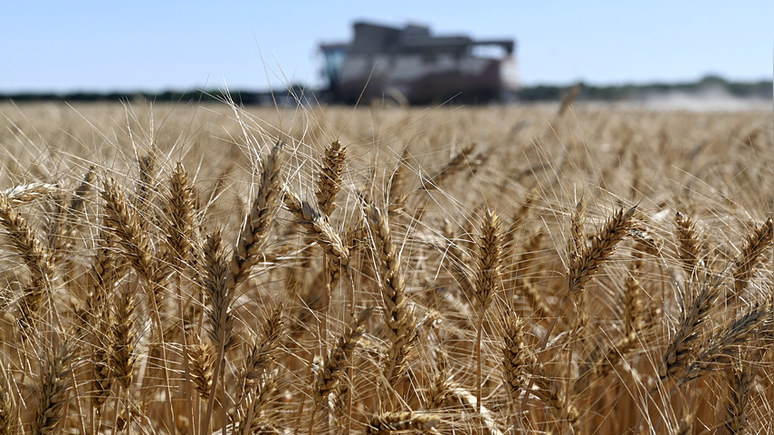 Asia Times: Россия активно наращивает прямые поставки зерновых в Китай