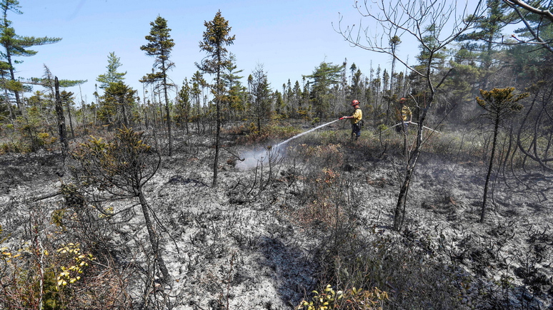 Le Figaro: рекордные пожары в Канаде могут продлиться «всё лето»