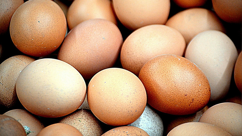 DM: британские и китайские учёные предполагают, что предки курицы не откладывали яйца