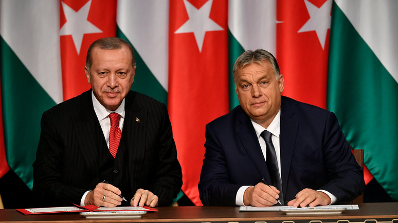 FAZ: Эрдоган и Орбан согласованно препятствуют вступлению Швеции в НАТО