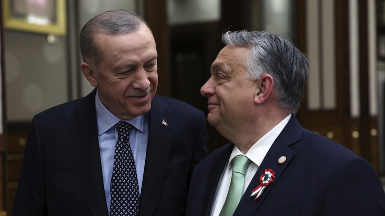 Das Erste объяснил, за что Орбан «мстил» Швеции, не пуская её в НАТО