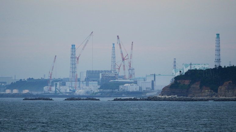 Guardian: в районе «Фукусимы» нашли рыбу с повышенным уровнем радиоактивного заражения