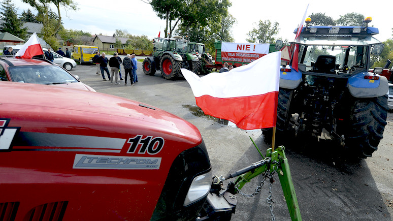 «Польские фермеры важнее»: Варшава грозит ЕС собственным эмбарго на украинское зерно