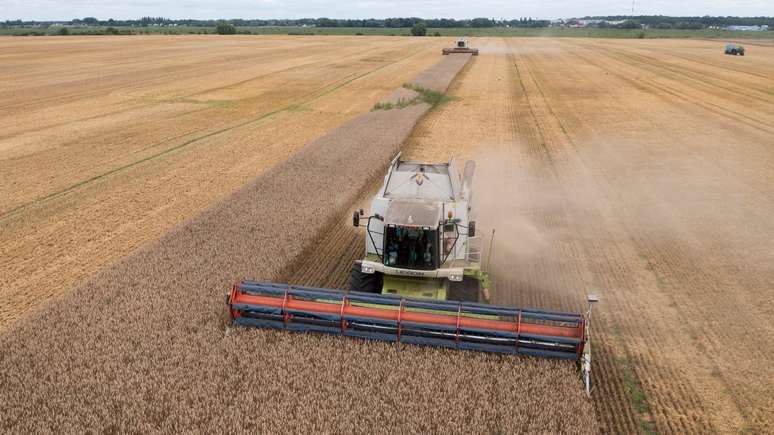 WSJ: зерновая дилемма настраивает Варшаву против Киева и раскалывает ЕС