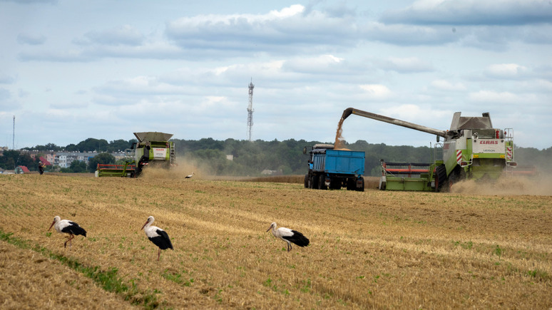 L’Opinion: вхождение Украины в ЕС угрожает европейскому сельскому хозяйству