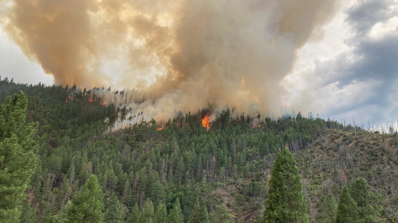 Hill: лесные пожары свели на нет все усилия по улучшению качества воздуха