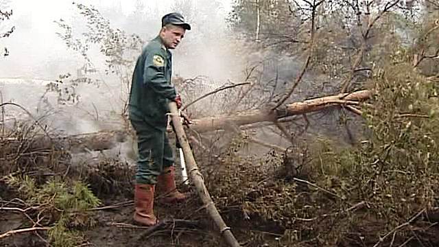 «Аль-Каида» не поджигала российские леса