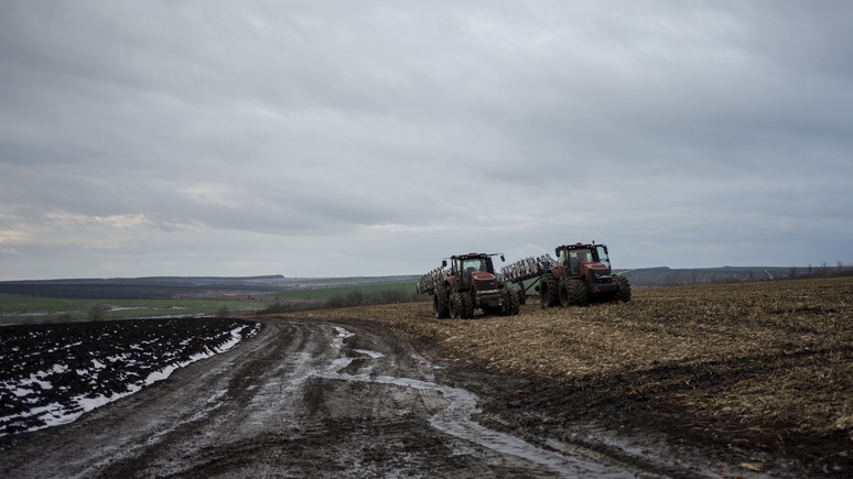 L'Express: вступление Украины в ЕС грозит взорвать европейское сельское хозяйство