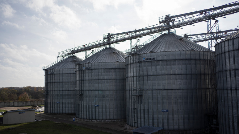 Корреспондент: молдавские фермеры требуют ограничить импорт зерна с Украины