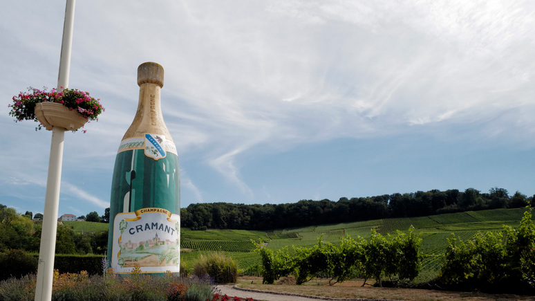 Fox News: ИИ предрёк исчезновение шампанского из-за изменений климата