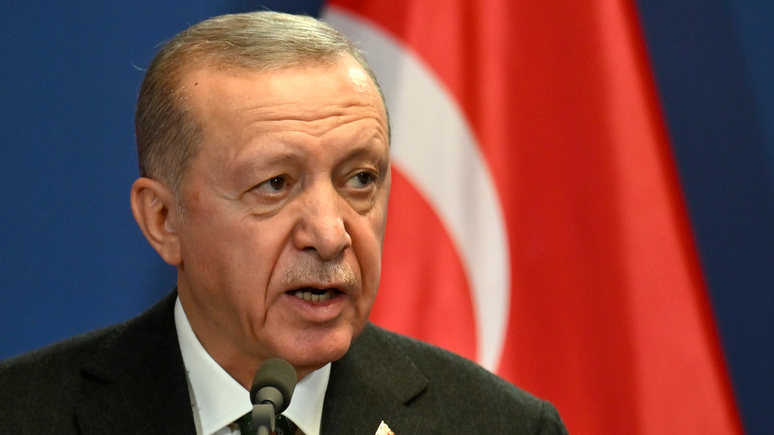 Daily Sabah: Эрдоган назвал «ценными» меры, принятые по делу о геноциде в Газе