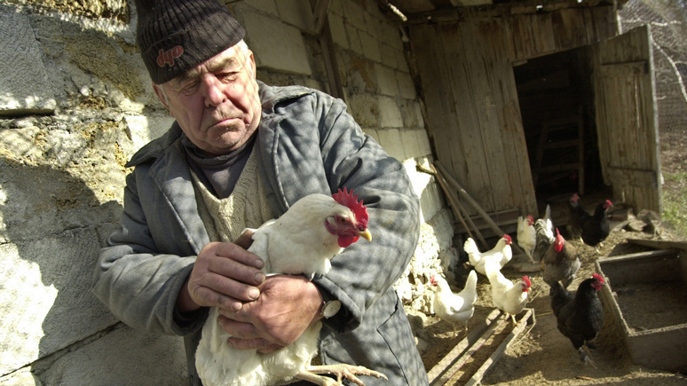 Le Figaro: «любят» как польских сантехников — обозреватель об отношении европейцев к украинским фермерам