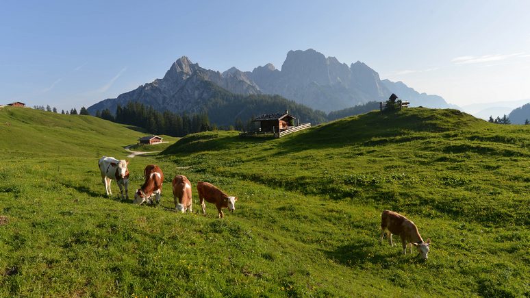 SRF: швейцарские фермеры послали правительству сигнал SOS